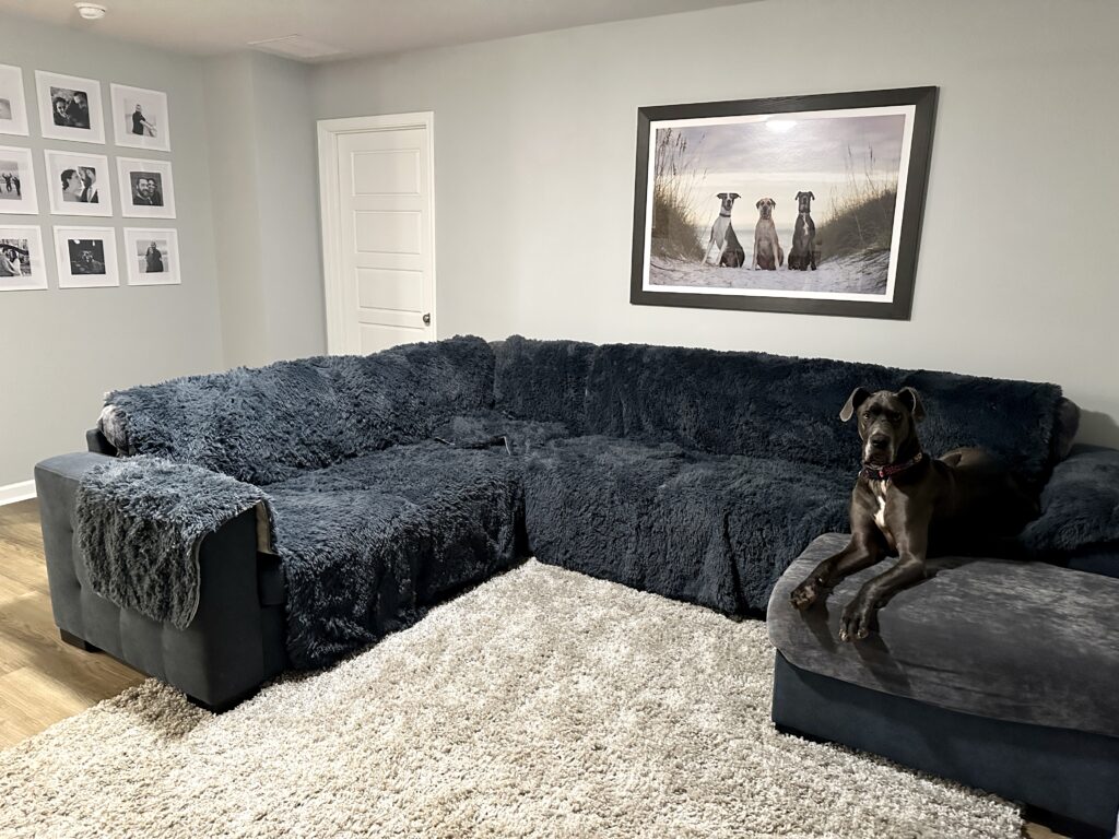 Living room with dog wallart