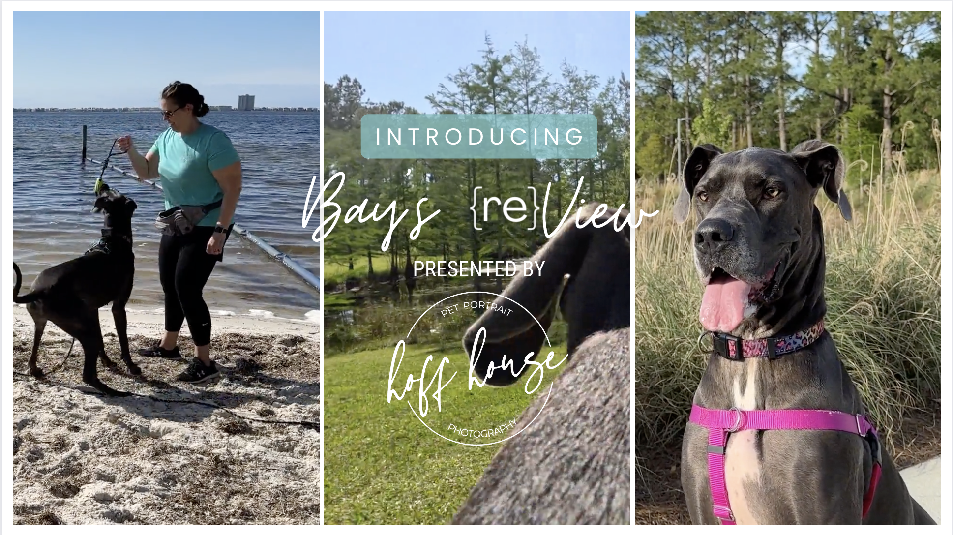 review of pensacola dog friendly hiking trails