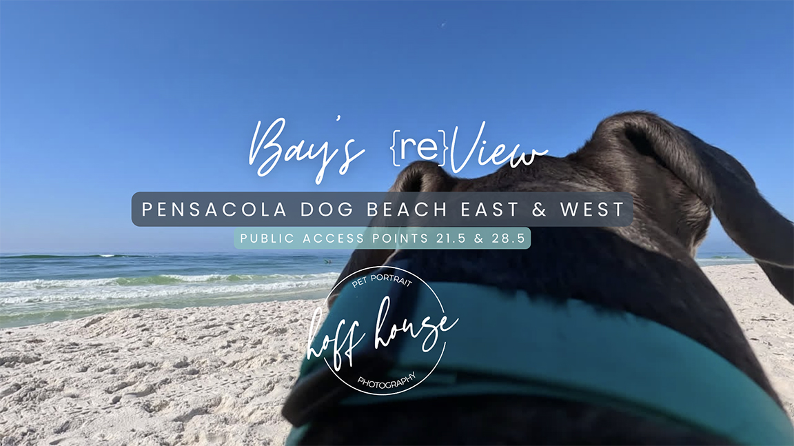 review of pensacola dog beach east and west