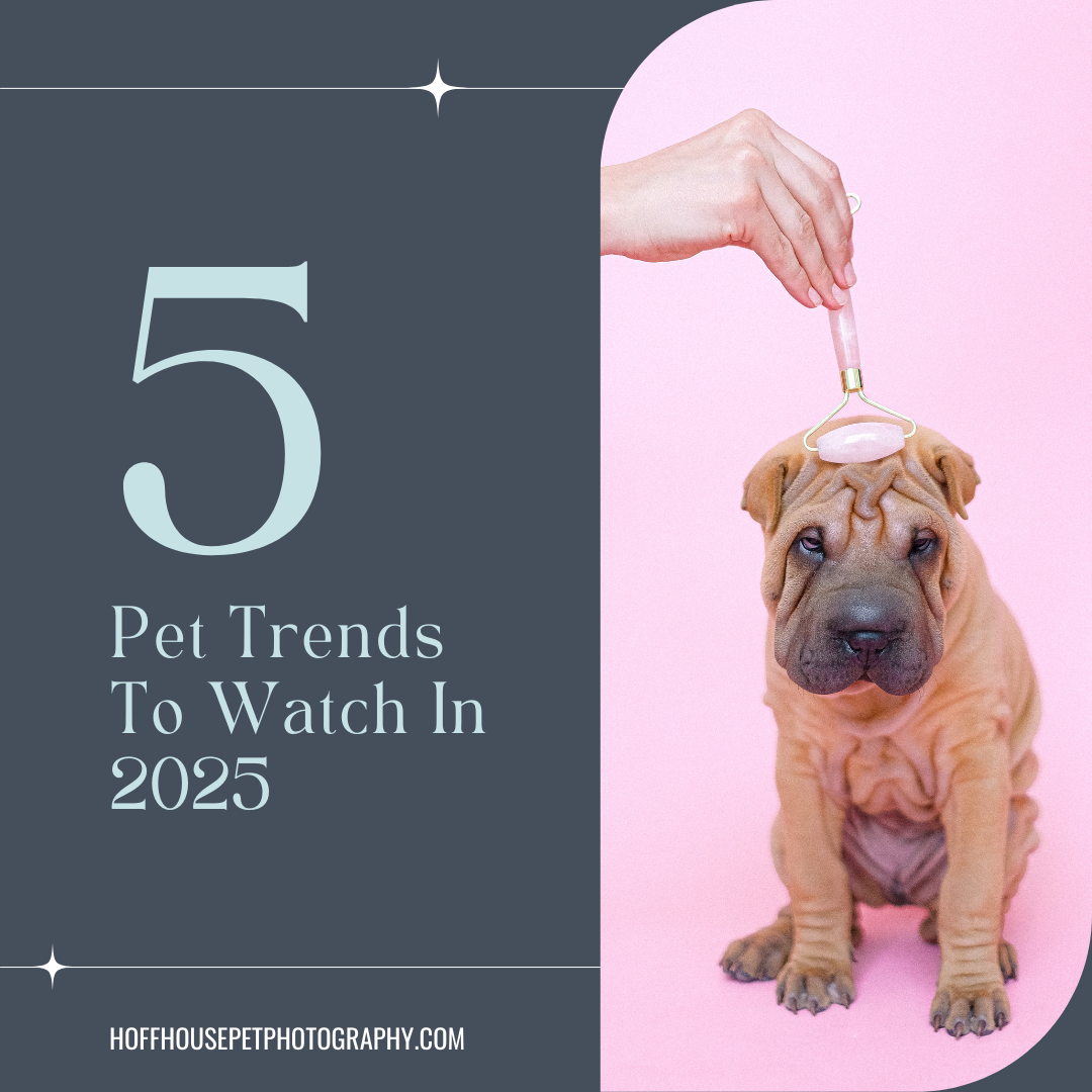 Pampered Puppy - 5 Pet Trends to Watch in 2025